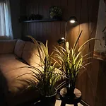 Slava Relax House *